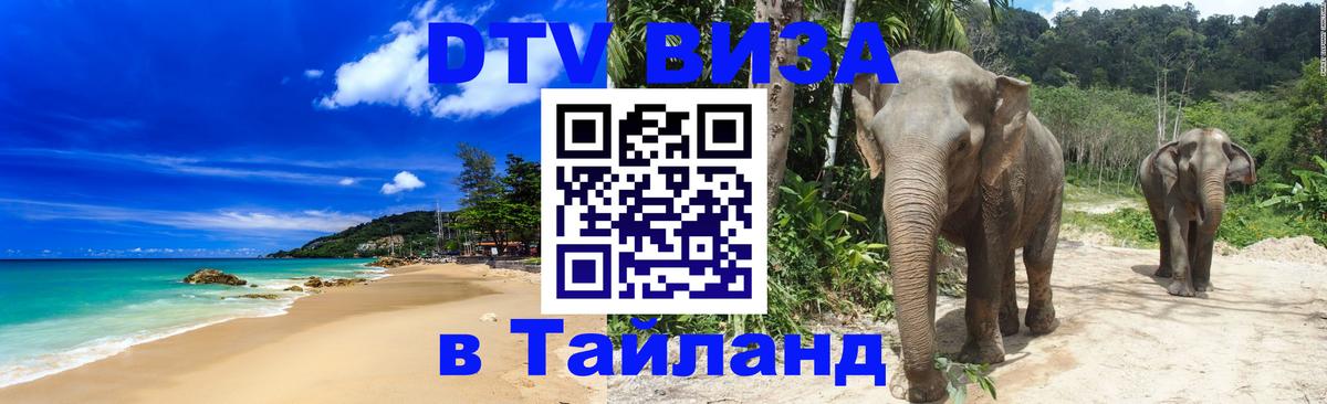 Оформление DTV визы под ключ: стоимость и тарифы, только загранпаспорт - Смоленск  20.11.2025 